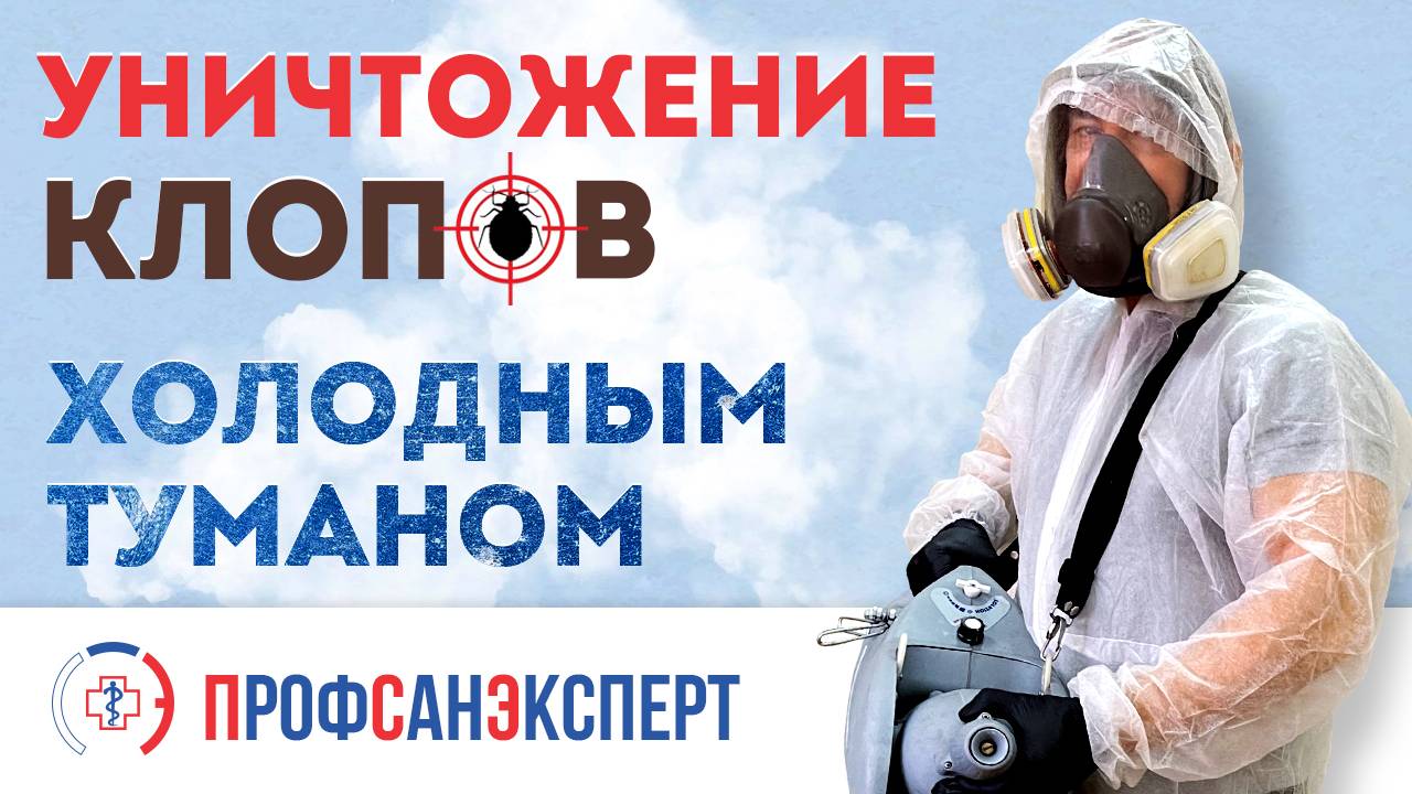 Видео превью